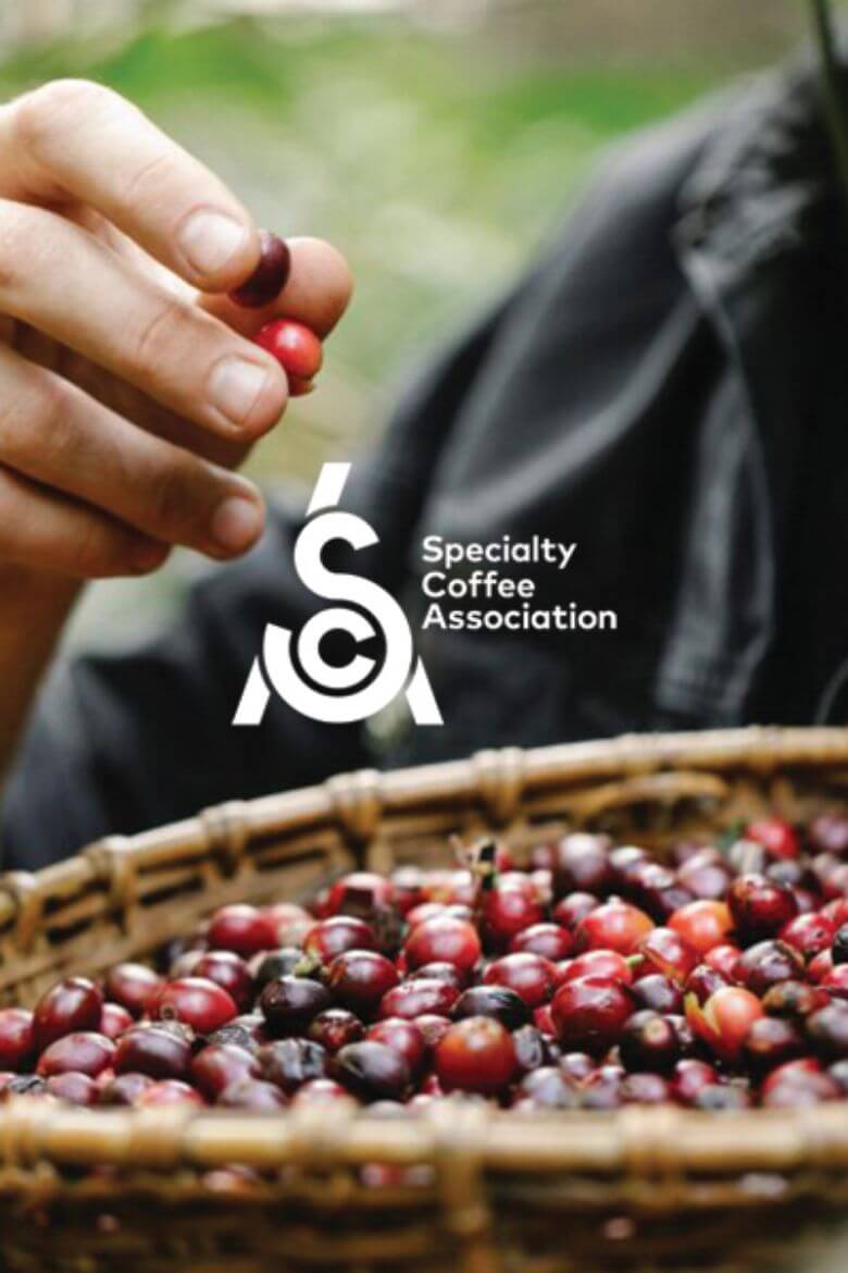 תמונה עבור הקטגוריה ספיישלטי קפה