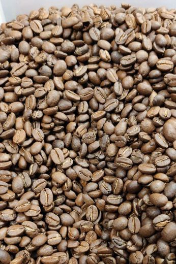 פולי קפה קלוי טרי קולומביה ALTO סופרימו 100% ערביקה בקלייה בינונית