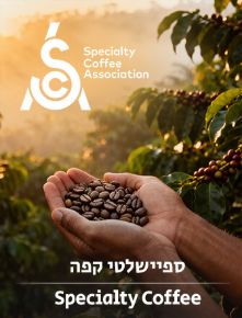 תמונה עבור הקטגוריה ספיישלטי קפה